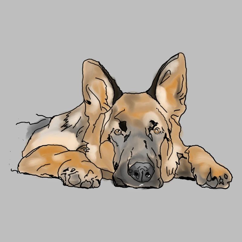 Schäferhund