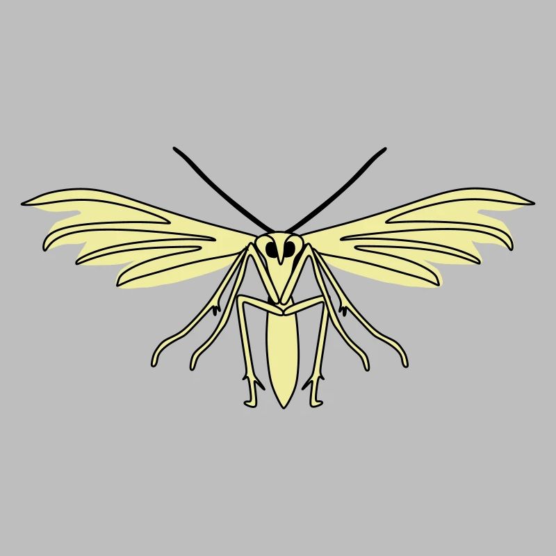 Feather moth