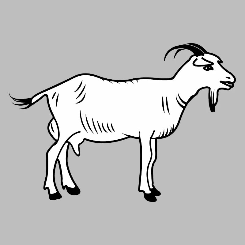 Chèvre blanche