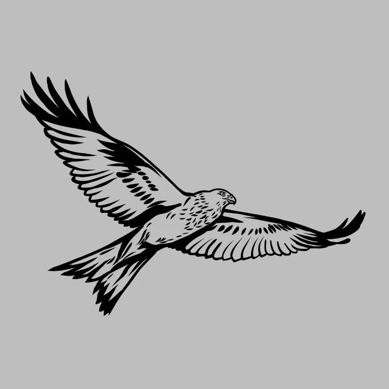 Red kite
