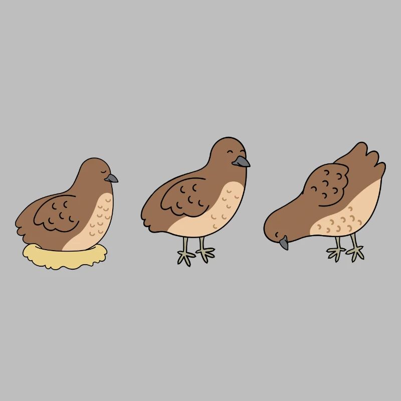 Three Quails - Minimalist Quail Design