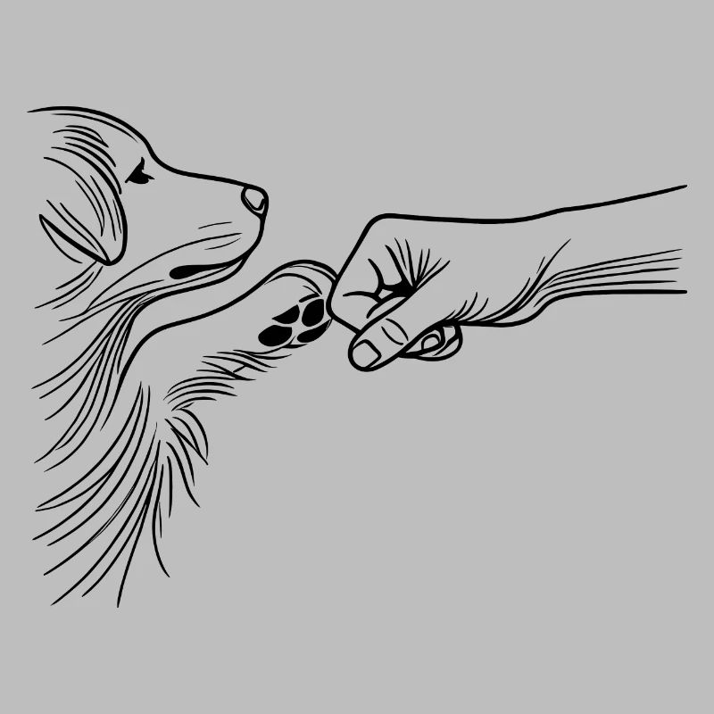 Hund und Mensch Bindung Fauststoß Bester Freund