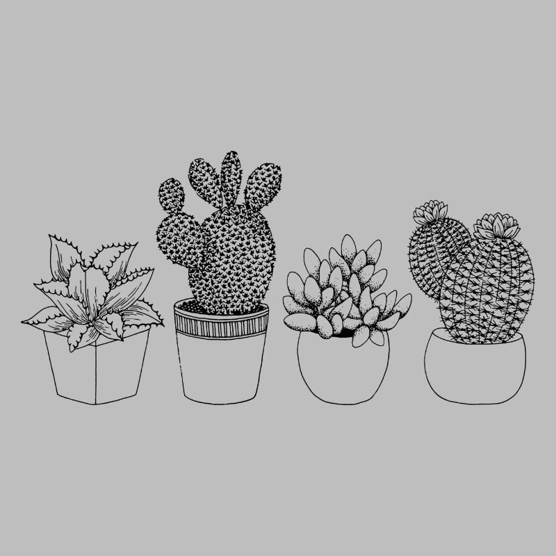 Minimalist Cactus Illustration