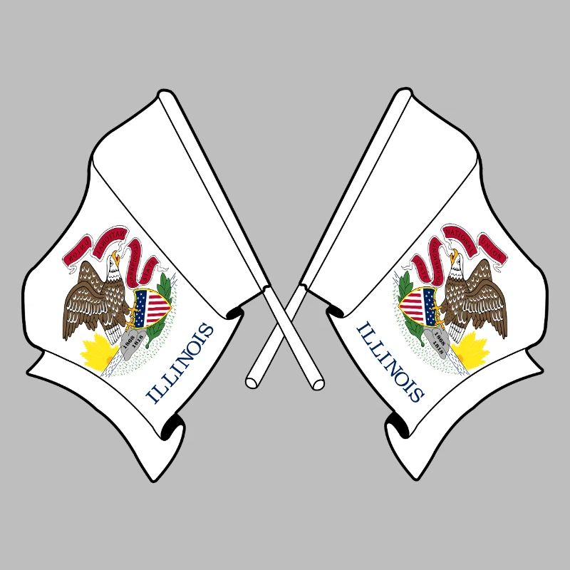 Two flags crossed Illinois