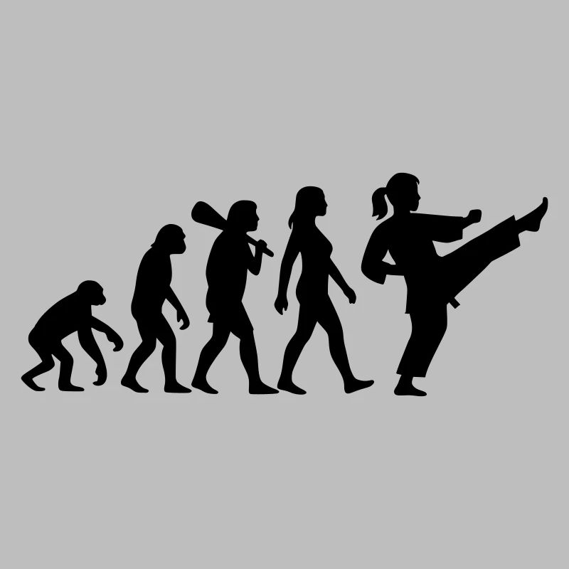 Karaté Évolution