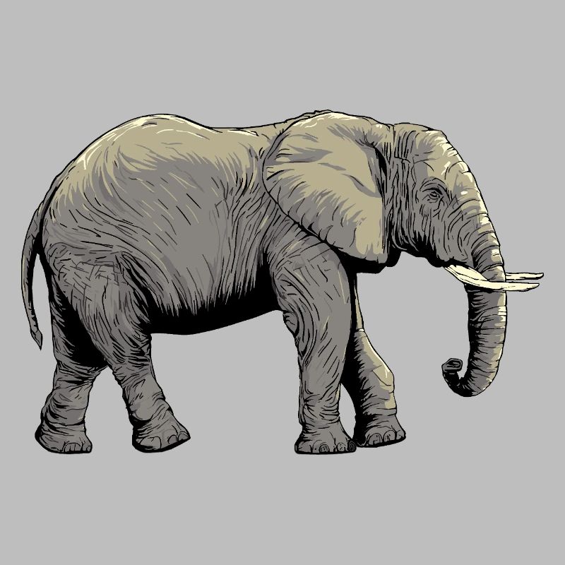 Conception individuelle de l’éléphant