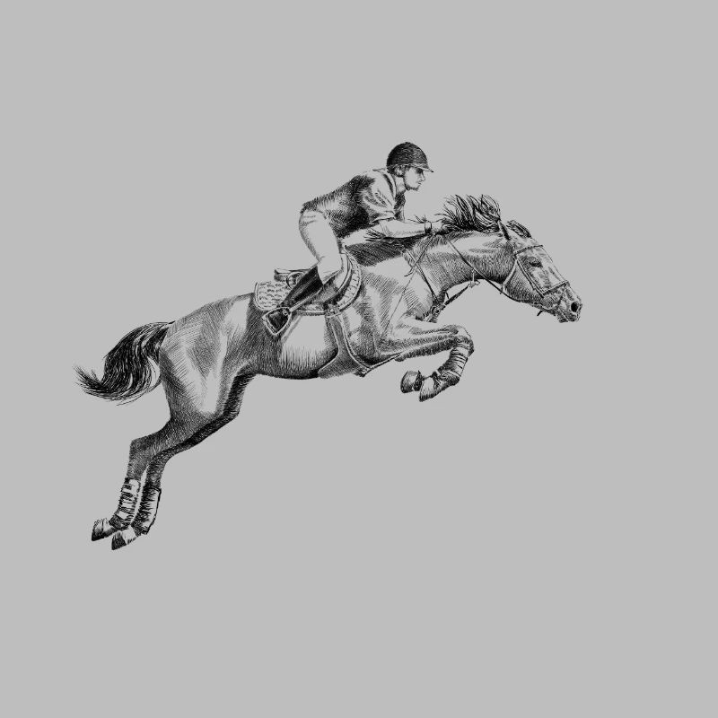 Equitation