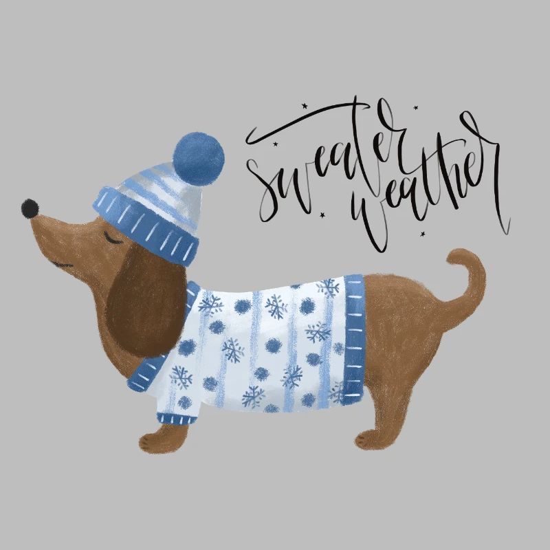 Teckel avec pull et chapeau Pull Météo bleu