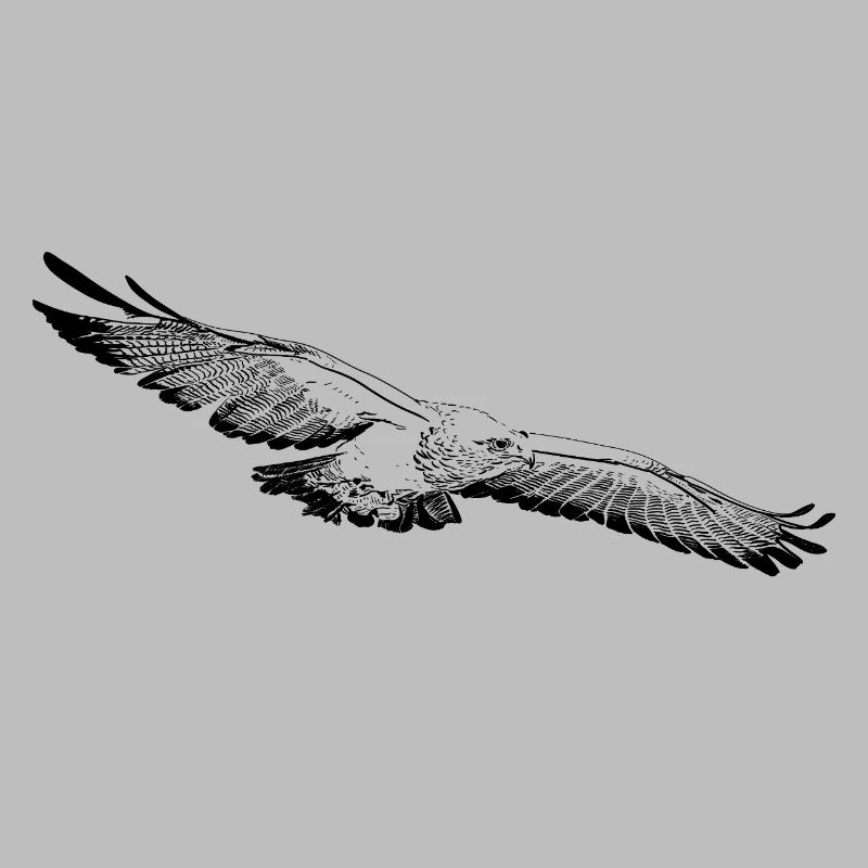Aigle