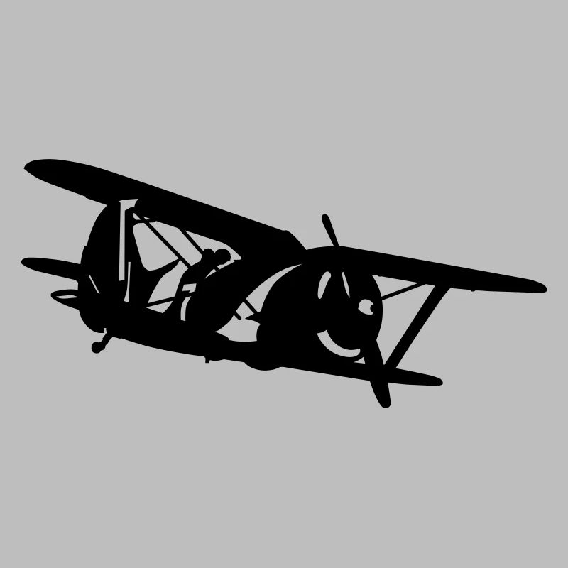 Biplane i-153