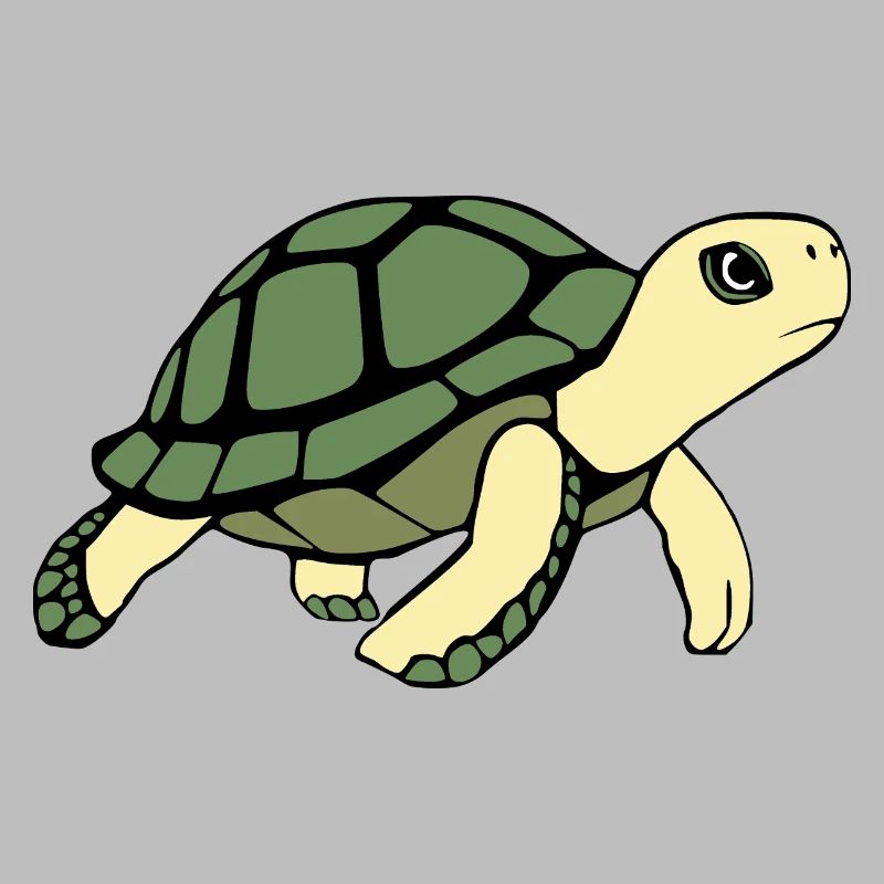 Turtle Turtles