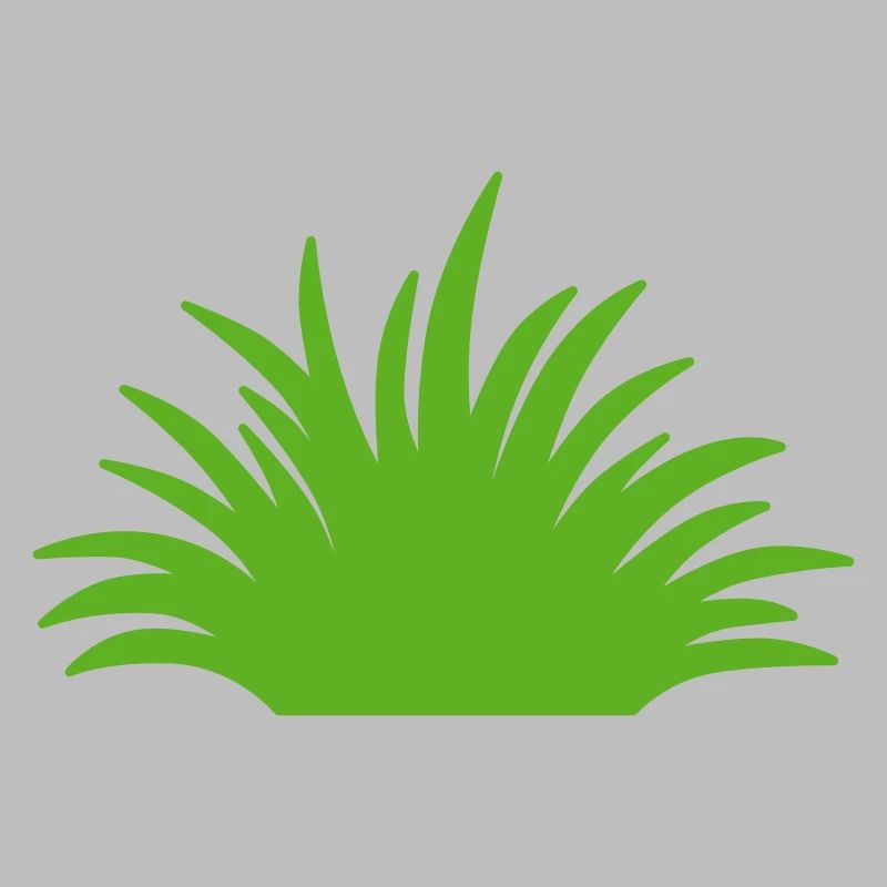 Herbe
