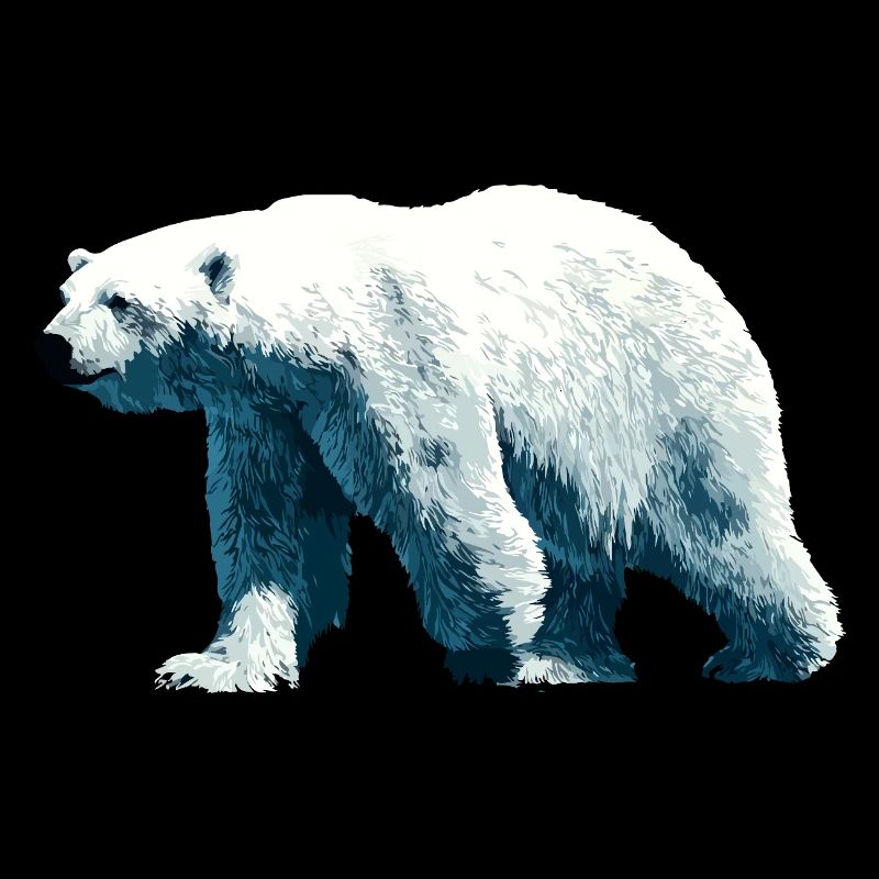 Polar Bär Eisbär