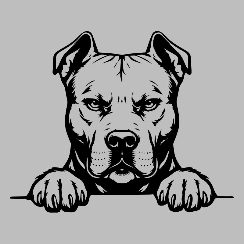 Pitbull Kopf mit Pfoten