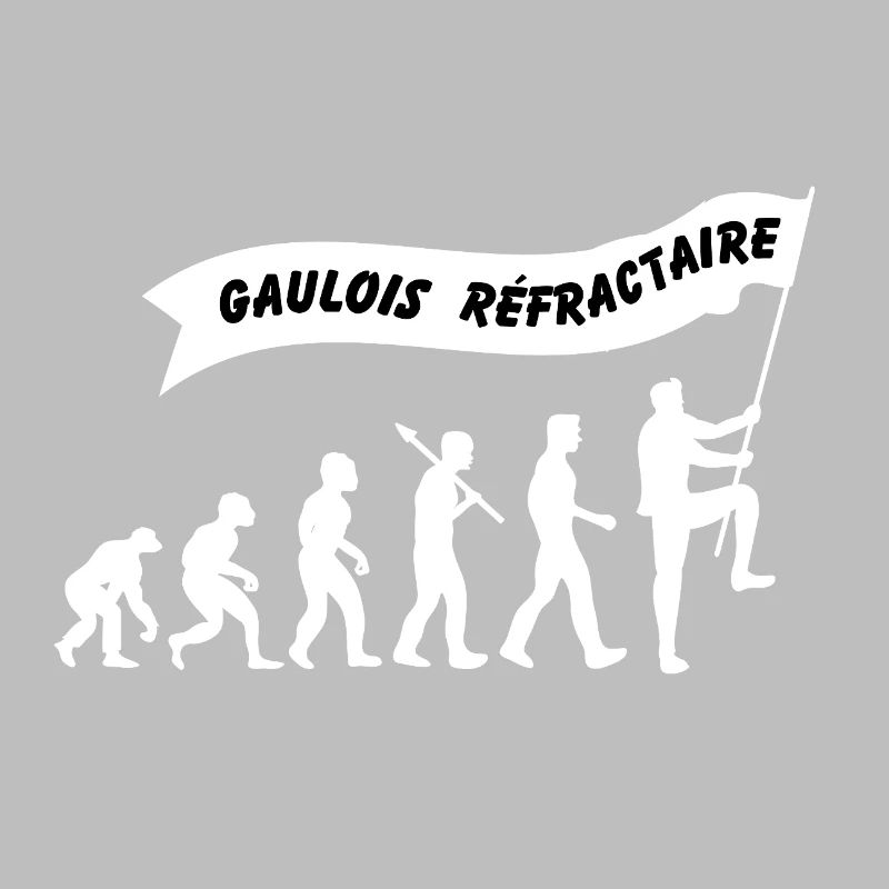 Evolution du gaulois réfractaire