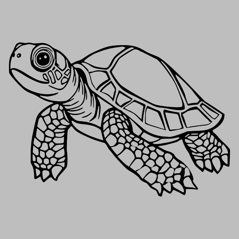 Turtle Turtles
