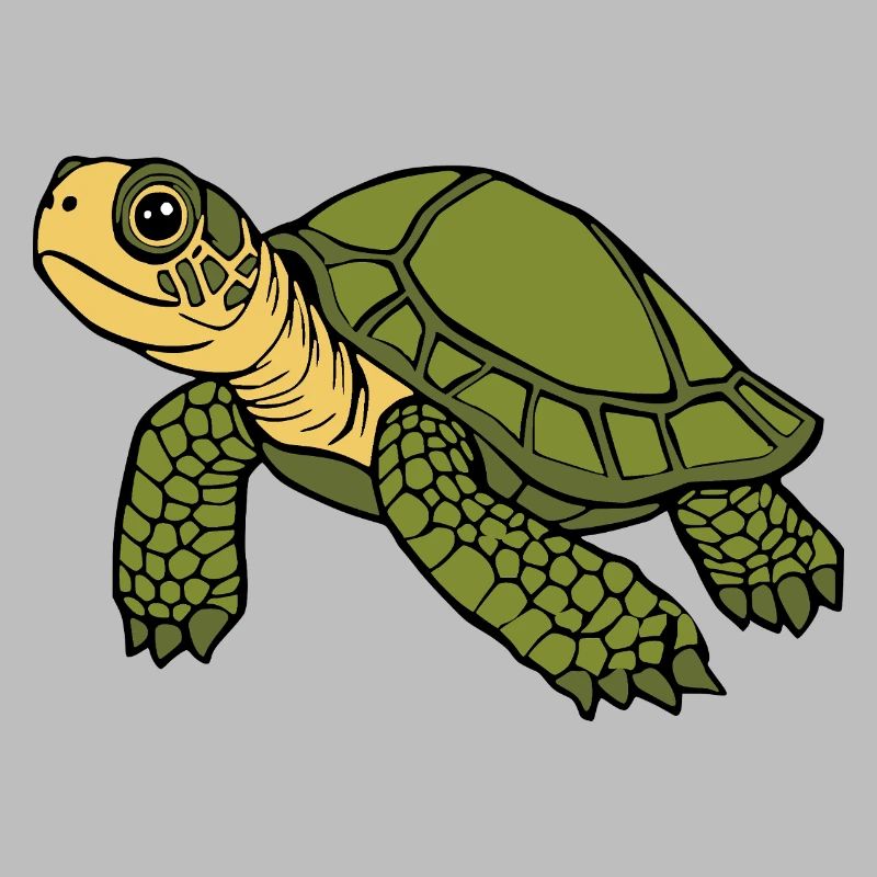Turtle Turtles