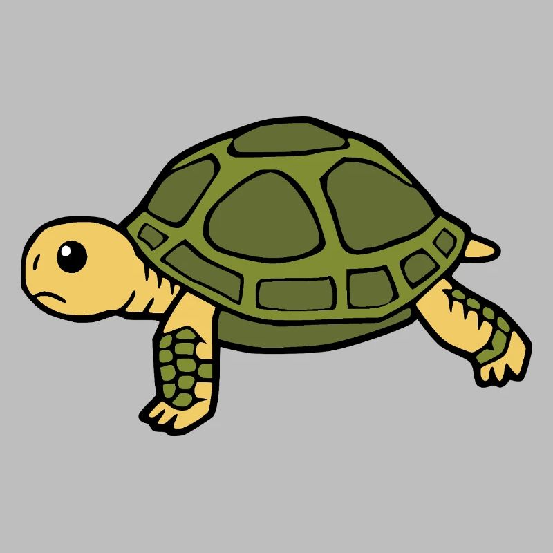 Turtle Turtles