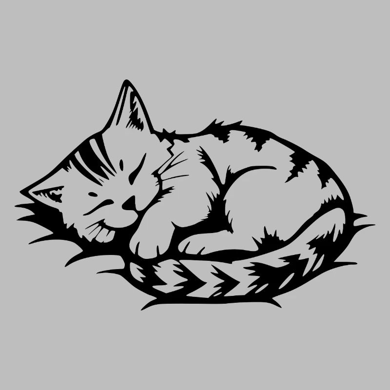 Chat noir endormi
