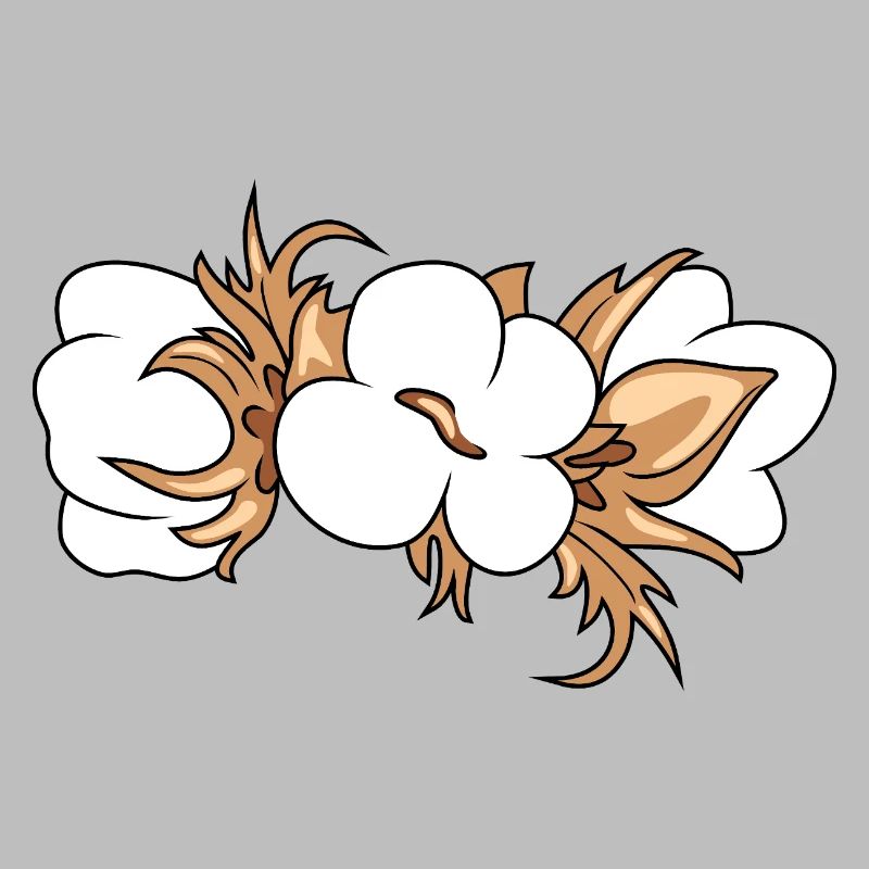 Coton en floraison