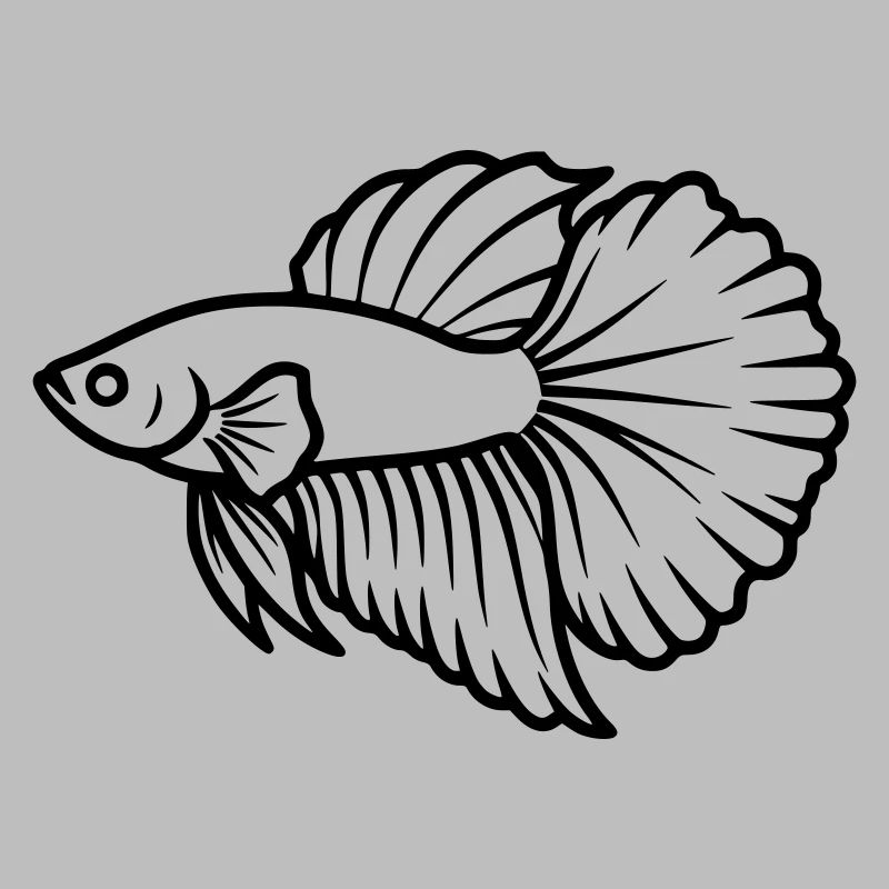 Kampffisch Betta Splendens Aquarium