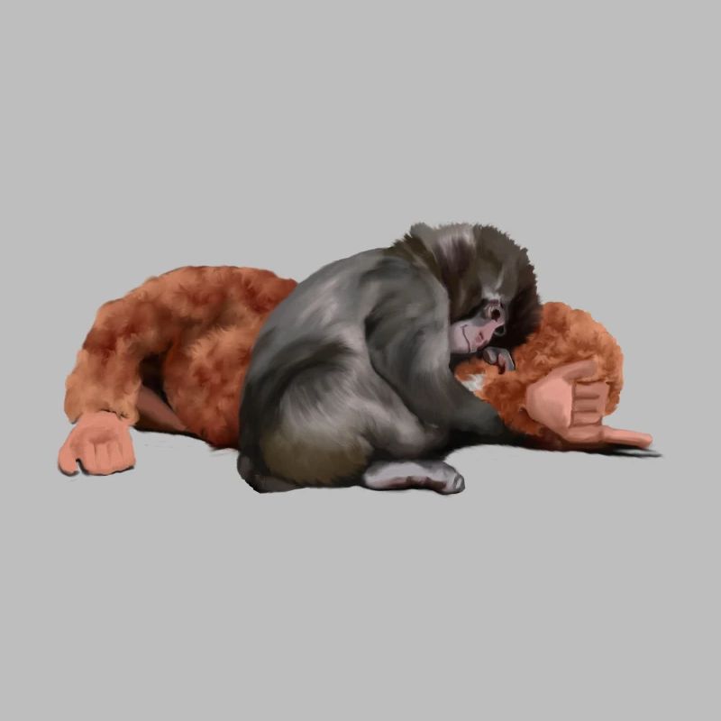 Punch - das Äffchen