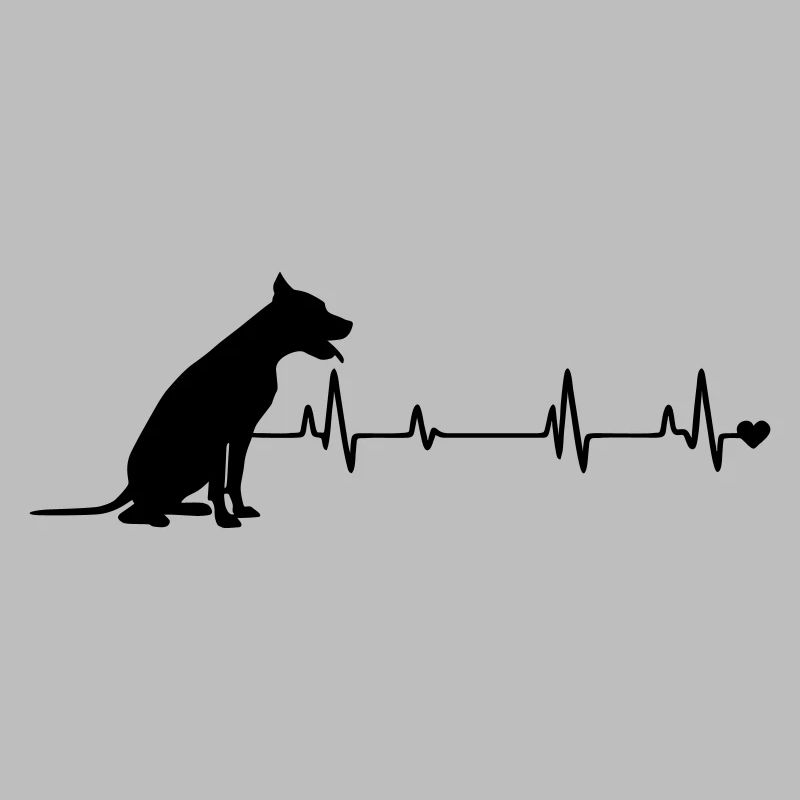 Chien