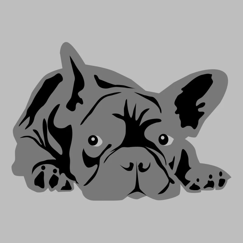 bouledogue français 2 couleurs