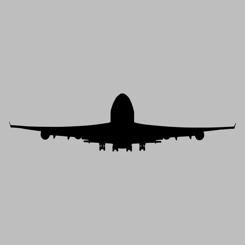 Flugzeug