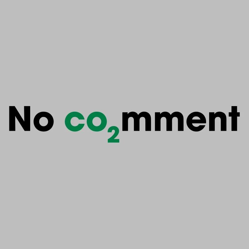 No CO2 Comment – Saubere Energie Statement