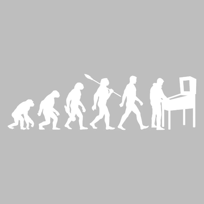 Evolution - Pinball - Flipper - Automat