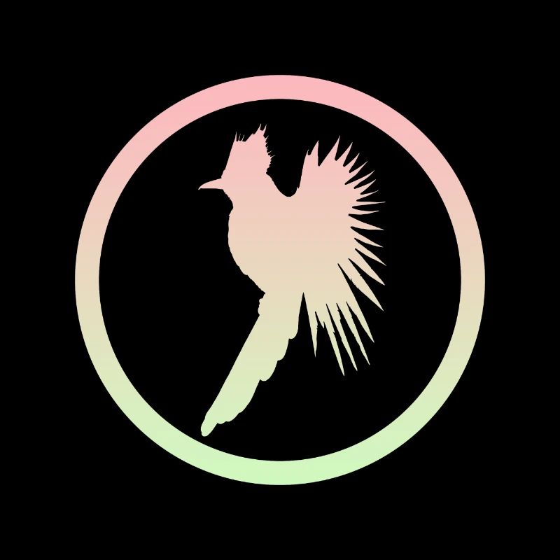 Oiseau, calopsitte, oiseau