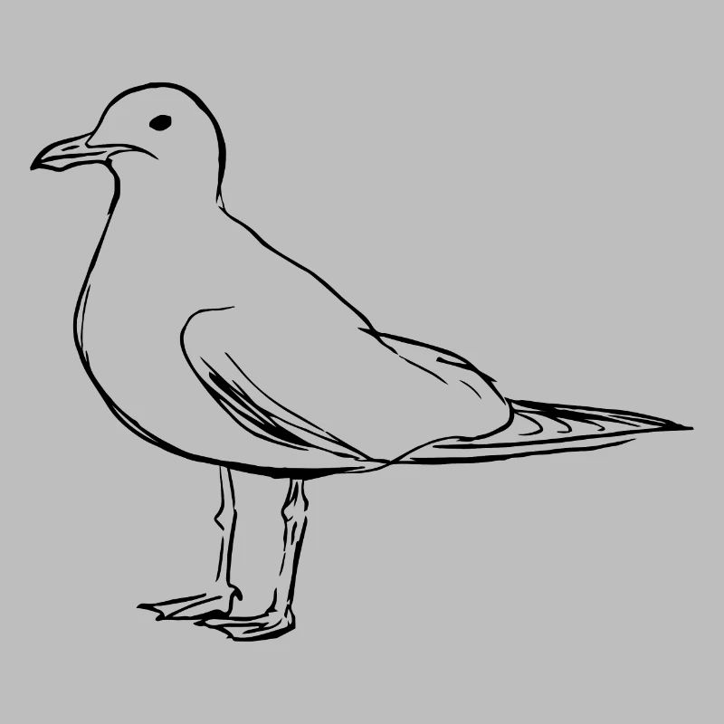 Gull
