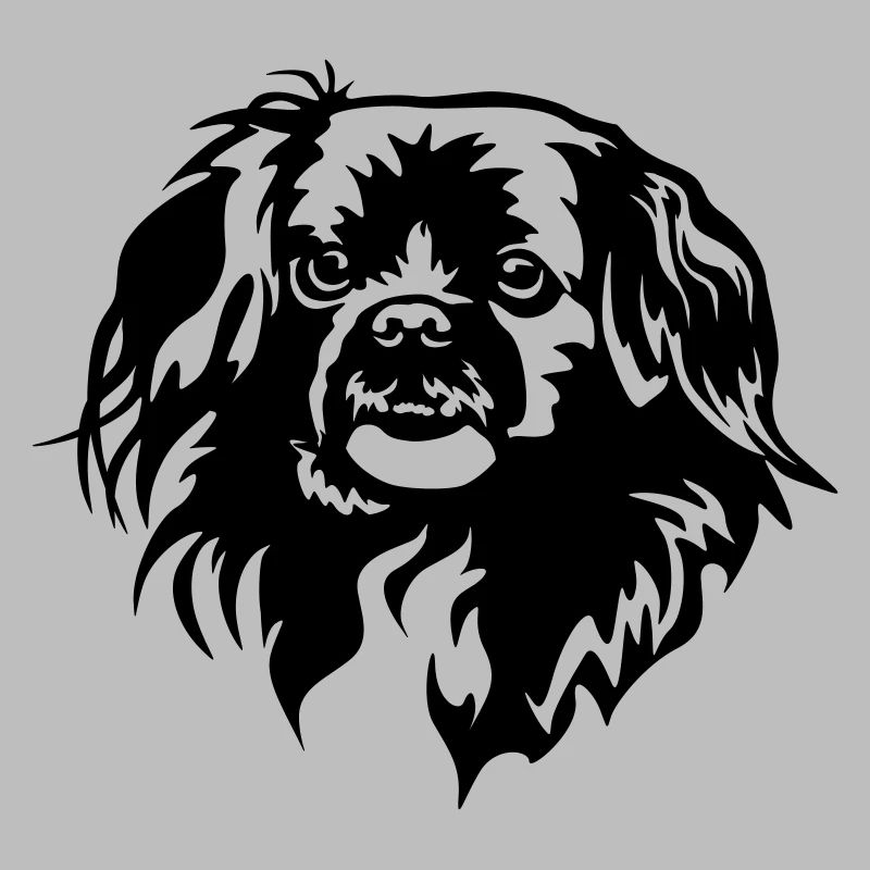 Tibetan Spaniel Head