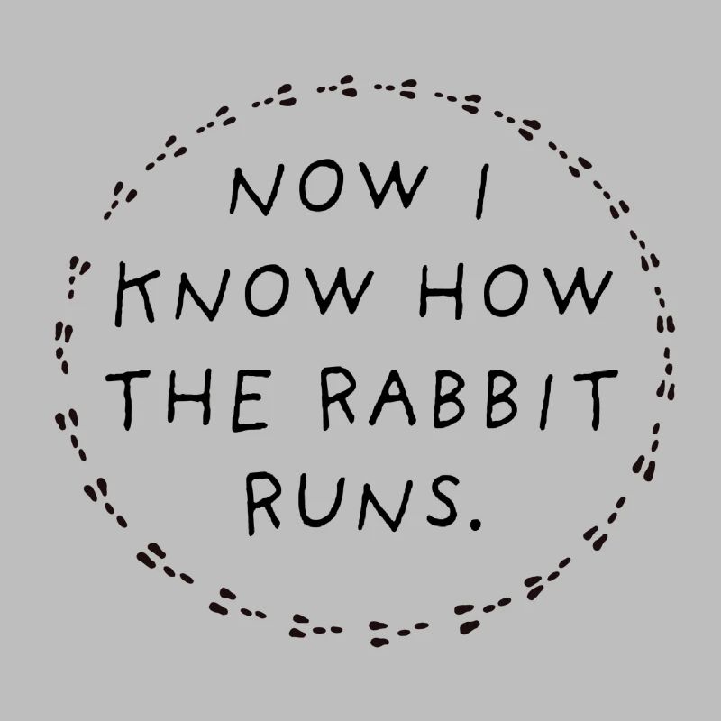 Now I know how the rabbit runs.