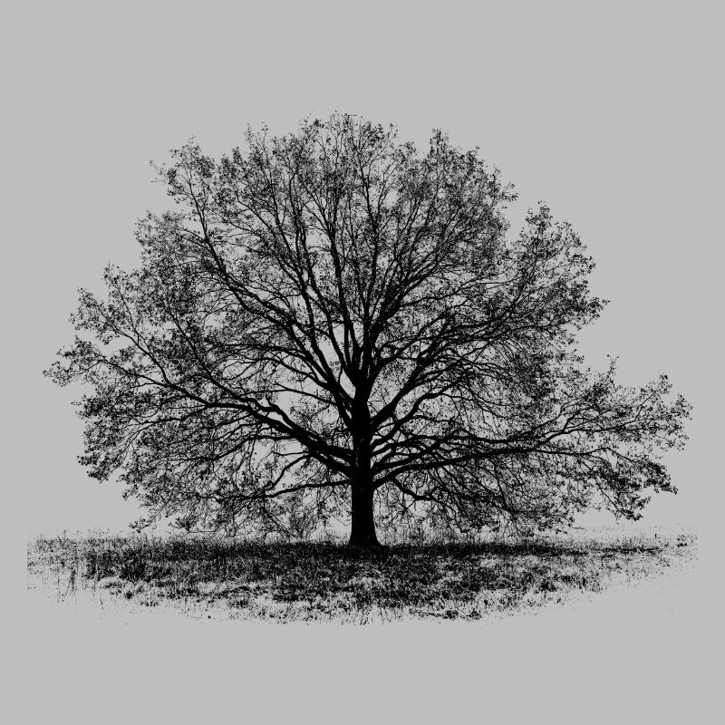 Tree in black