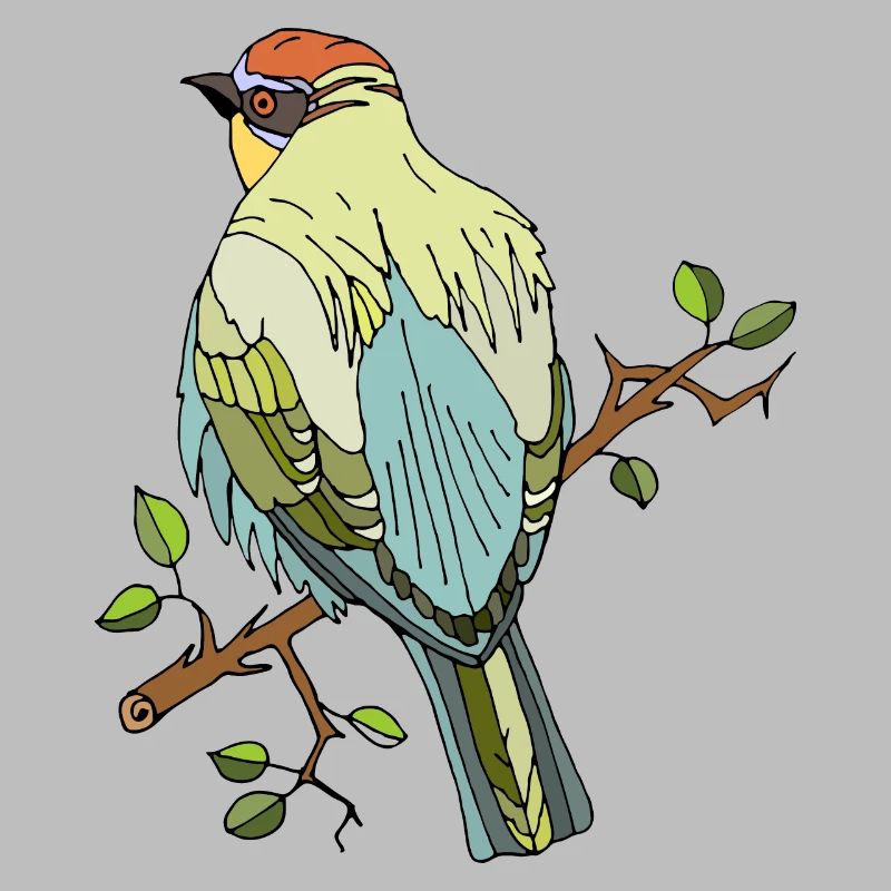 Bird