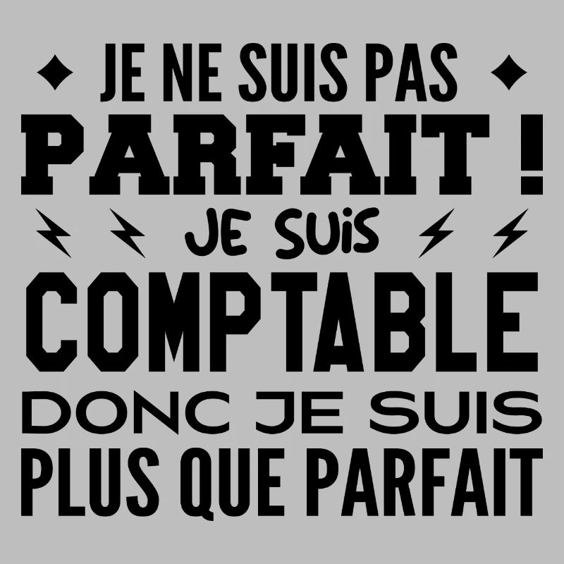 Un Comptable plus que parfaite, métier de rêve