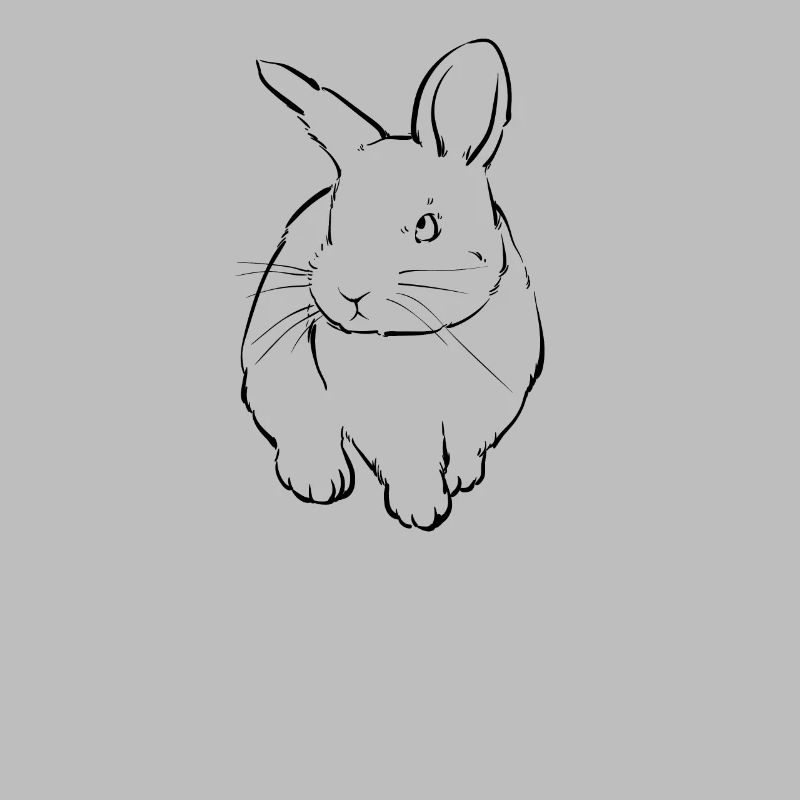 Lapin lapin lapin