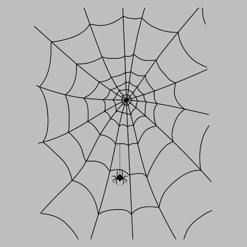 Spider web, spider, spider in the web
