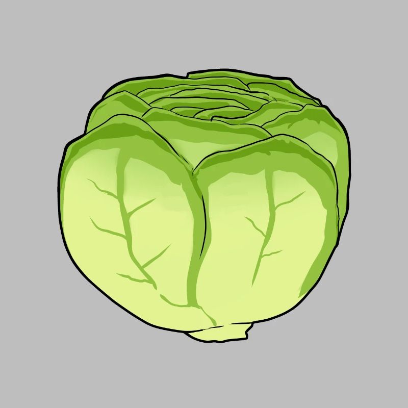 Lettuce Salad Cabbage Cabbage Head Vegetable Kitchen