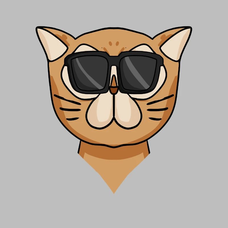 Cool Chat Persan Chat Race Chat