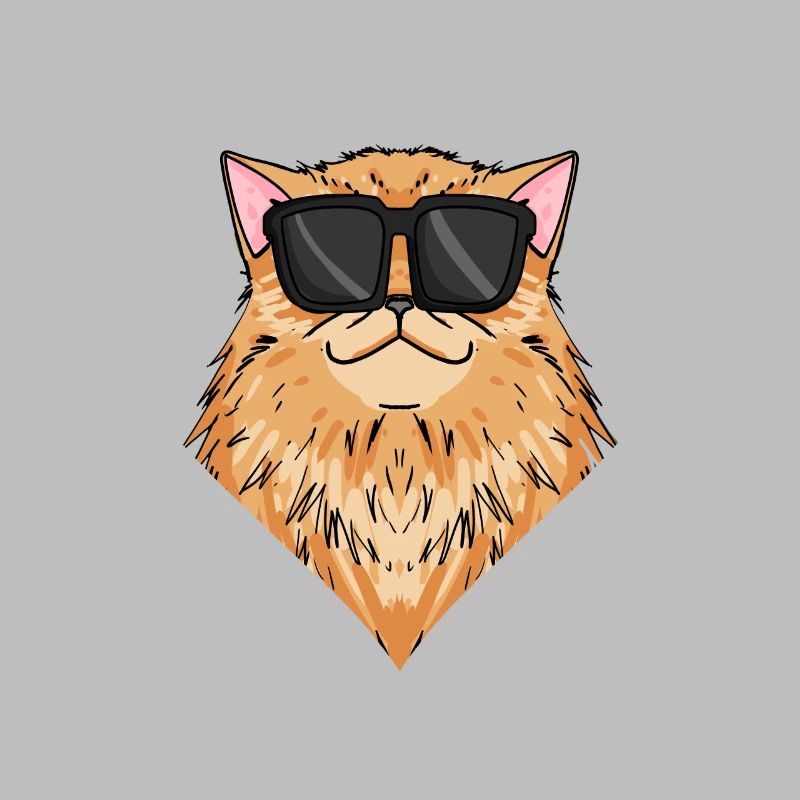 Cool Chat Persan Chat Race Chat