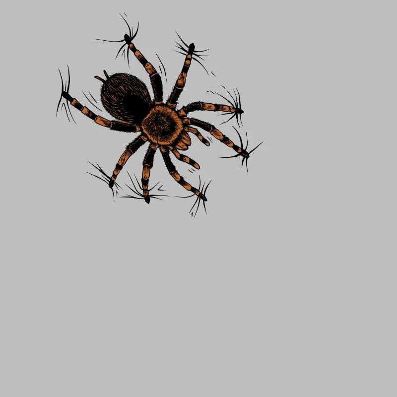 Spider lovers - climbing tarantula