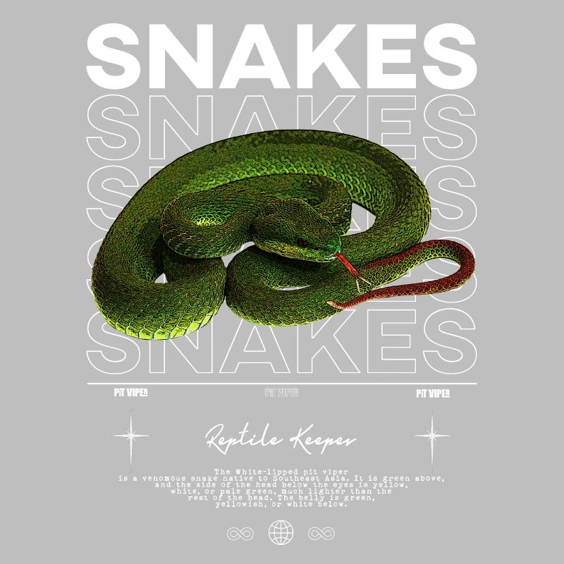 White Lipped Pit Viper Modern Reptile Keeper