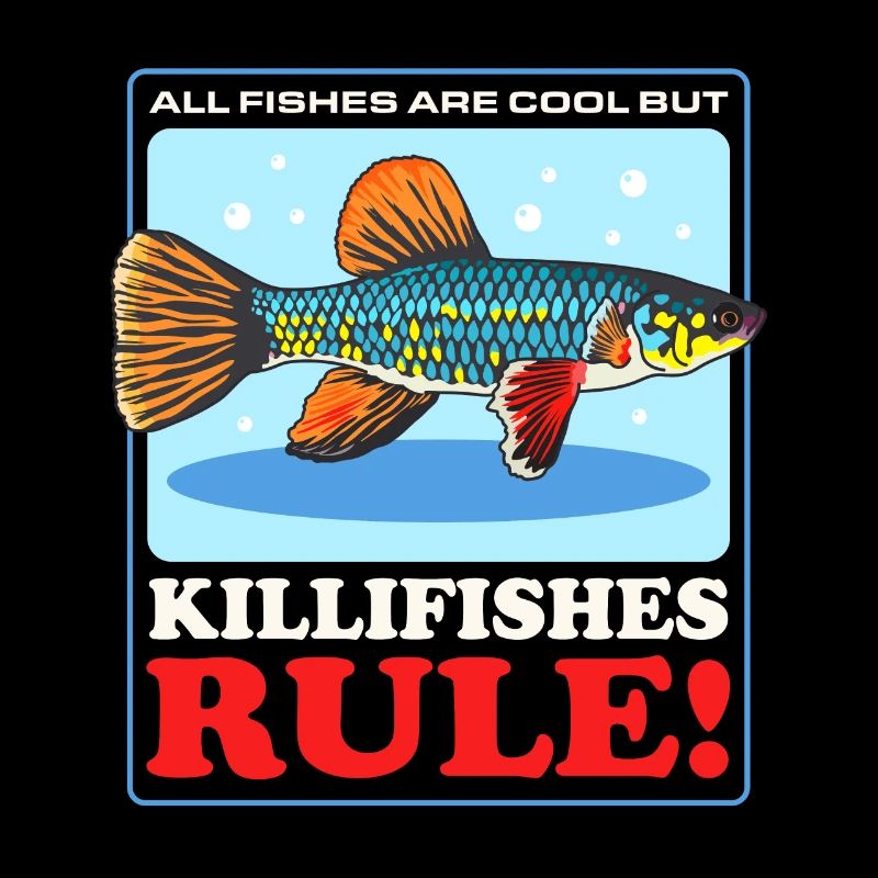 Cadeau de carpe dentée pondeuse de killifish