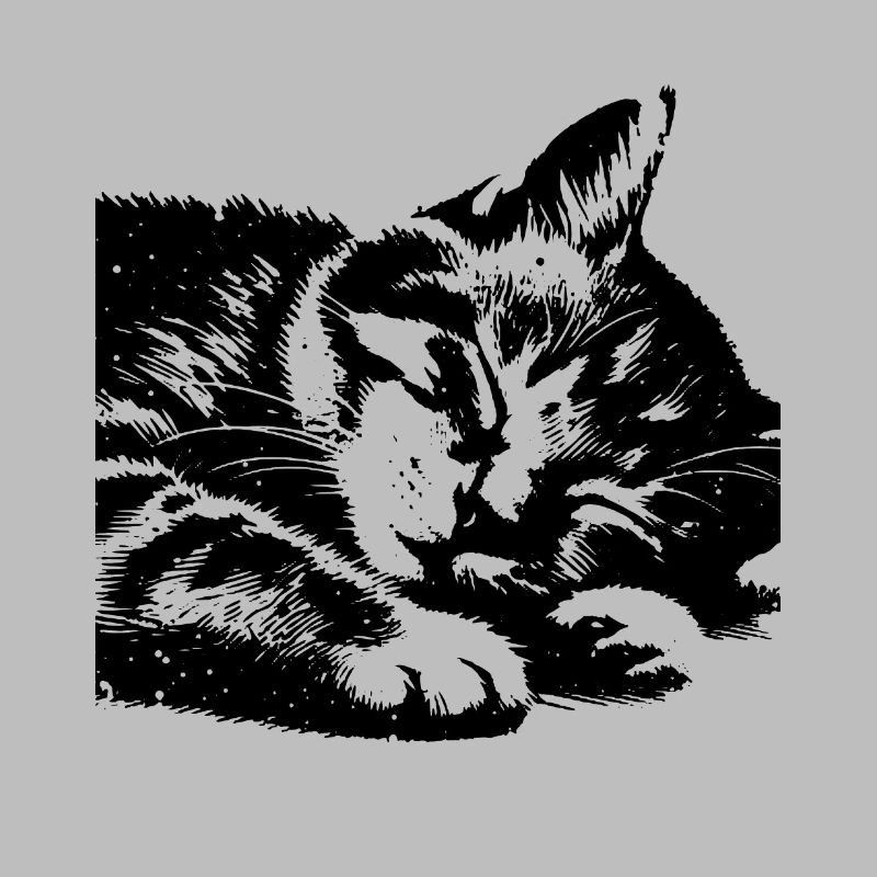 Cute Sleeping Cat