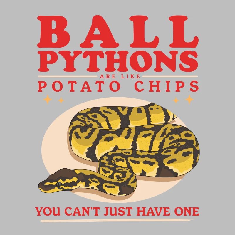 Königspython Python Schlangen Geschenke