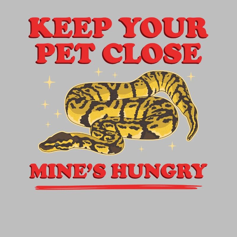 Königspython Schlange Python Geschenk