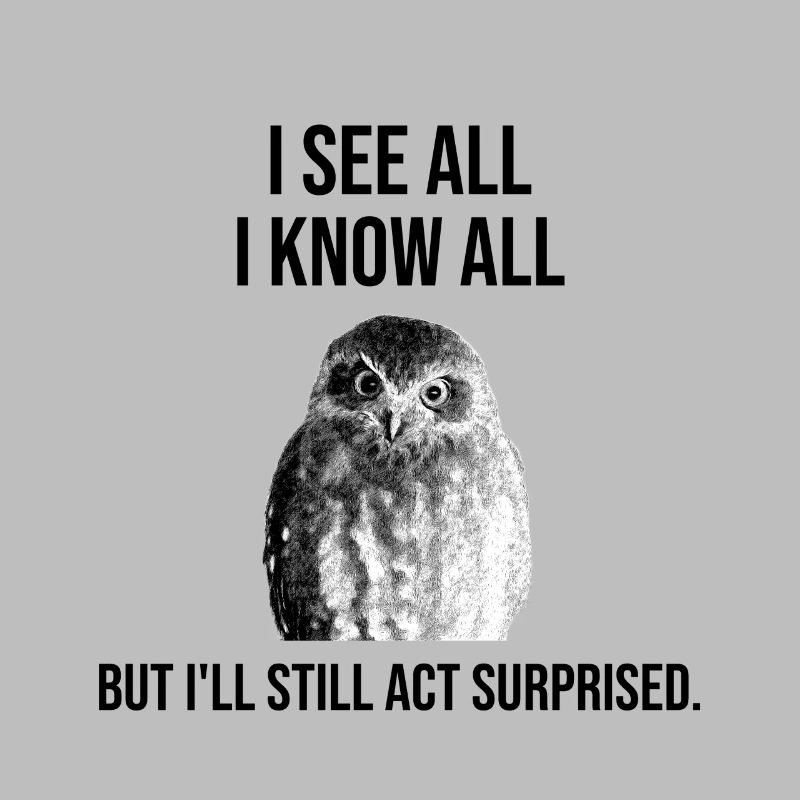 Weise Eule– I See All, I Know All